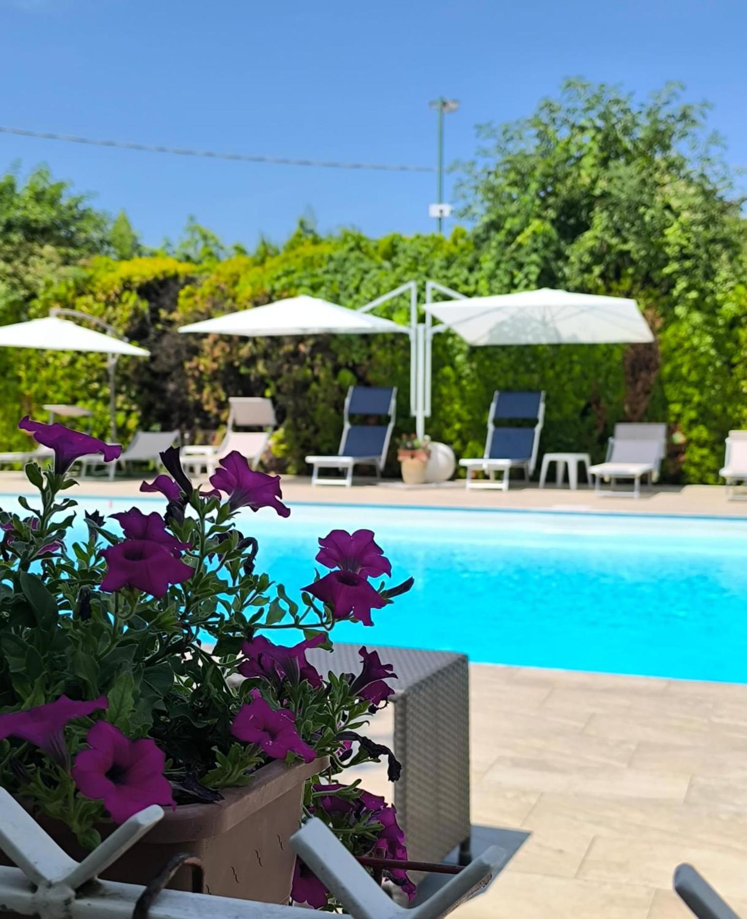 Zoello Je Suis 3* Castelvetro di Modena